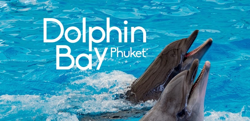 DOLPHINS BAY PHUKET
